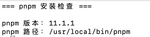 pnpm 版本与安装路径
