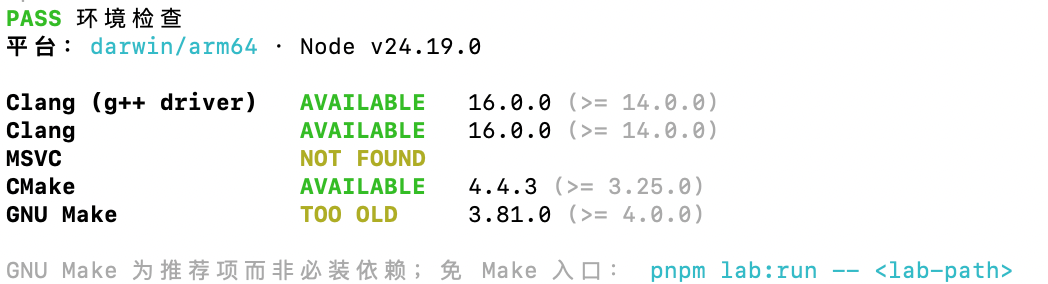 Program Lab 环境检查结果