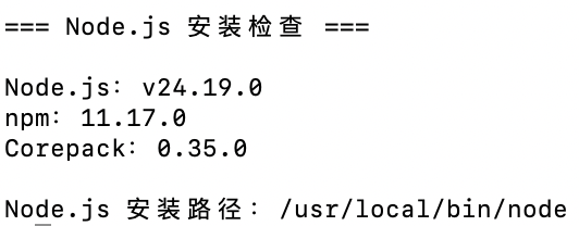 Node.js、npm 与 Corepack 版本检查